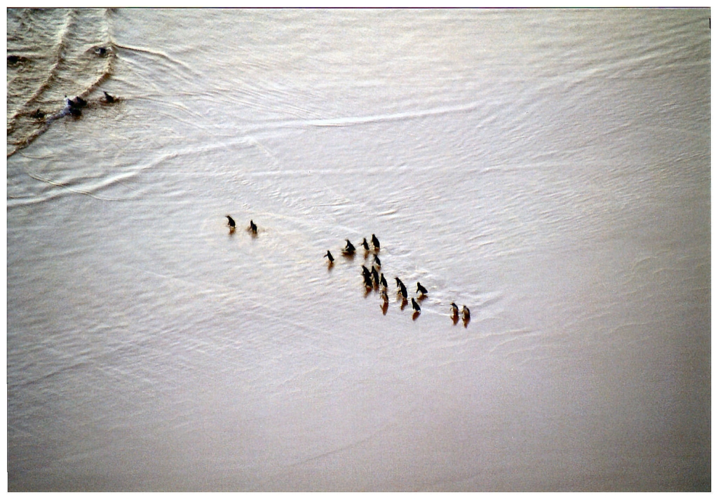 04 The Great Ocean Road (8).jpg